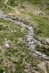 A small rocky stream flows through a green grassy landscape with scattered bushes and dirt paths