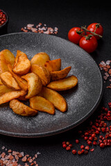 Grilled potato wedges with rosemary, cheese, salt and spices. Baked potato slices
