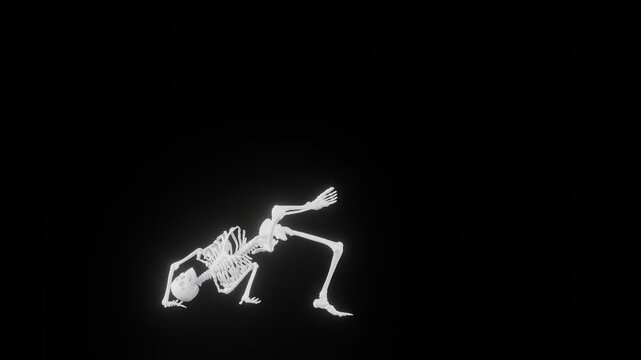 skeleton breakdance freeze var. 3d render video of skeleton in action with transparent background. PNG sequence.