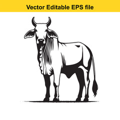 Fototapeta premium Illustration of a Brahman cow/ Zebu bull standing in a field, vector art