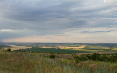 Fototapeta premium A landscape with grass and trees