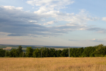 A field with trees and a body of water in the background