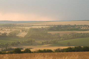 A landscape with trees and grass