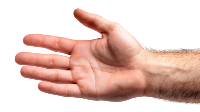 Hand, isolate on white background 