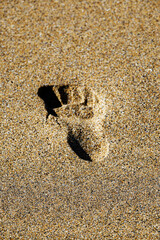 footprint in sand