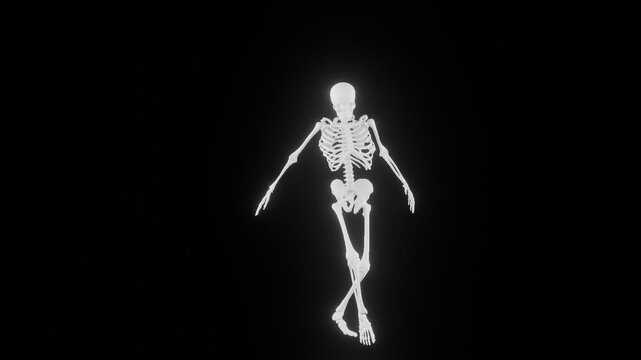 skeleton hip hop dancing. 3d render video of skeleton in action with transparent background. PNG sequence.