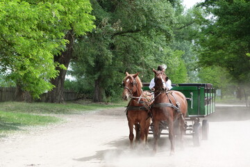 horse-drawn carriage