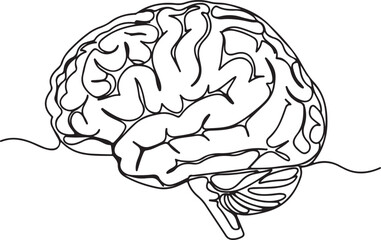 Intricate Line Art Depiction of a Human Brain Cerebral Cortex and Cerebellum Detailed Anatomical Illustration Black and White Minimalist