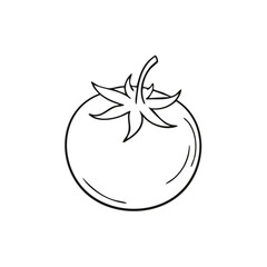 Outline drawing of tomato illustration. Simple tomato vector clipart for coloring or design. Vegetable