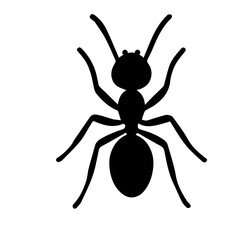 Black Ant Cartoon Vector Illustration Design