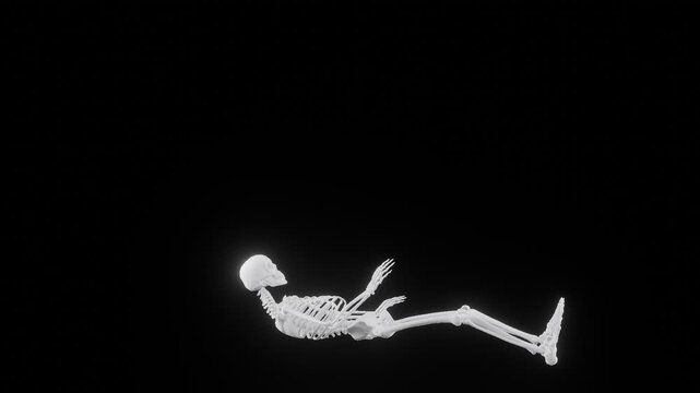  skeleton start to sit up. 3d render video of skeleton in action with transparent background. PNG sequence.