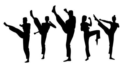 Fototapeta premium Martial Arts Silhouette PNG - Karate & Taekwondo Poses Transparent Background
