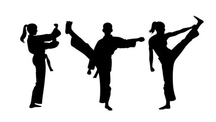 Martial Arts Silhouette PNG - Karate & Taekwondo Poses Transparent Background