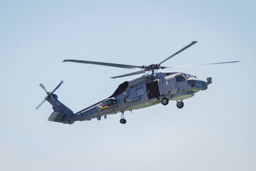 military maneuvers. Infantry, aviation and navy landing	