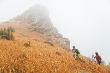 Hikers Exploring a Foggy Mountain Trail on a Serene Morning