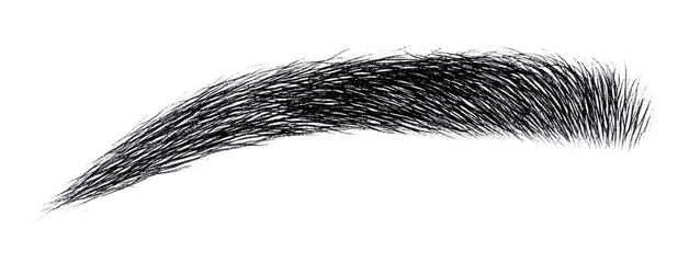 Eyebrow Stencil for Eyebrow Shaping and Makeup - Isolated on White Background