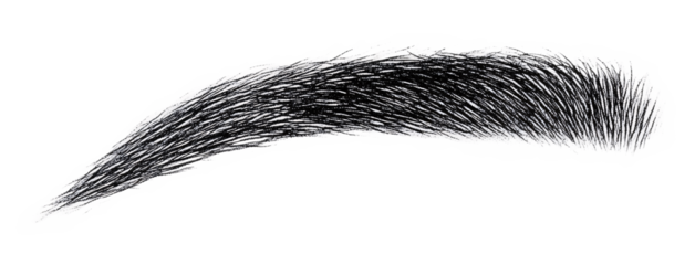 Eyebrow Stencil for Eyebrow Shaping and Makeup - Isolated on White Background