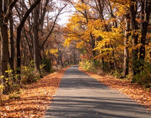 Fototapeta premium Scenic Autumn Road through a Colorful Forest With Golden Leaves During the Day