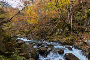日本の風景・秋　山梨県山梨市　紅葉の西沢渓谷