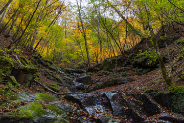 日本の風景・秋　山梨県山梨市　紅葉の西沢渓谷