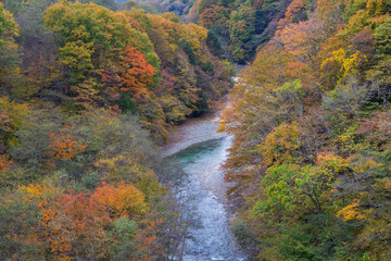 日本の風景・秋　山梨県山梨市　紅葉の西沢渓谷