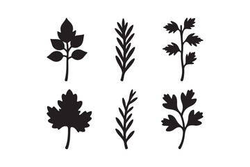Fototapeta premium Collection of black silhouette botanical leaf and herb sprigs on white background