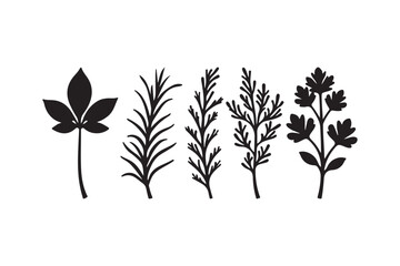 Collection of stylized black botanical silhouettes on a white background
