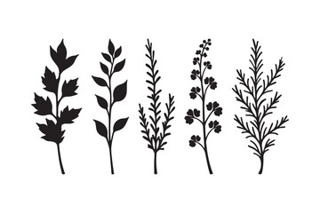 Collection of five black silhouette botanical plant sprigs on white background