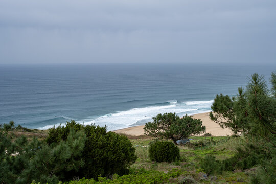 Ocean waves approach the beach in steady lines, viewed from a green hillside with pine trees. Cloudy sky over the Atlantic coast in winter. - Powered by Adobe