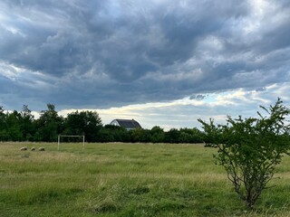 Wide view of a green field with a goalpost, sheep grazing, and a lone bushy tree on the right. The...