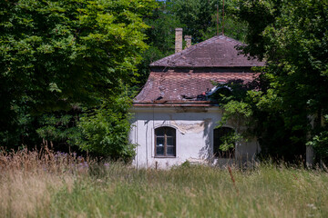 Abandoned Historic Palace with Weathered Architecture and Atmospheric Decay