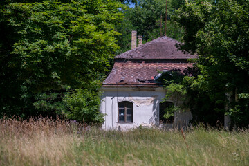 Abandoned Historic Palace with Weathered Architecture and Atmospheric Decay