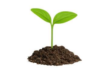 Green seedling sprouting through soil, symbolizing emerging life, sustainable growth, environmental renewal against clean backdrop