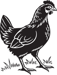 Obraz premium Black and white vector illustration of a standing chicken with grass elements