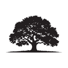 Fototapeta premium Black Silhouette Of A Majestic Tree Vector Illustration With Detailed Branches And Leaves On White Background