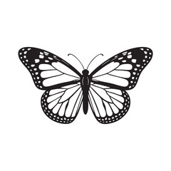 Fototapeta premium Elegant Butterfly Outline Vector Illustration With Intricate Wing Pattern On White Background
