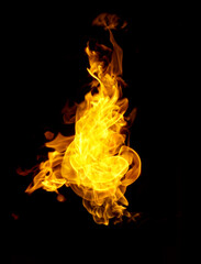 Fire flames on a black background
