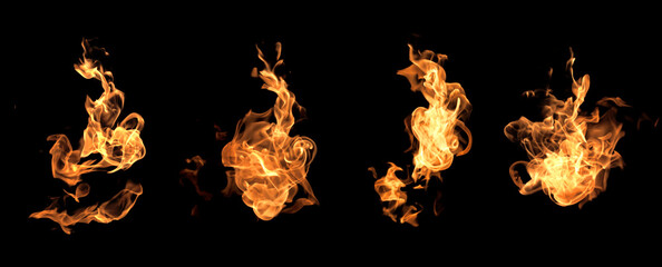 Fire flames on a black background