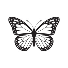 Obraz premium Butterfly Vector Illustration Silhouette Detailed Wing Pattern Nature Insect Graphic Design Element Isolated On White Background