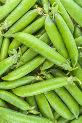Macro, closeup background of fresh whole green pea pods arranged in random natural pattern. Vibrant green color and crisp texture suggest organic freshness and seasonal harvest. Healty food background