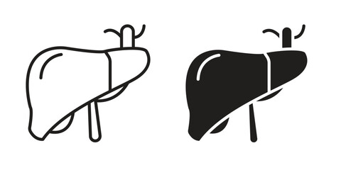 Liver icon symbol set in black. line and flat icons