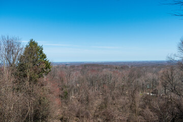 View Of Landscape From Forested Mountain House