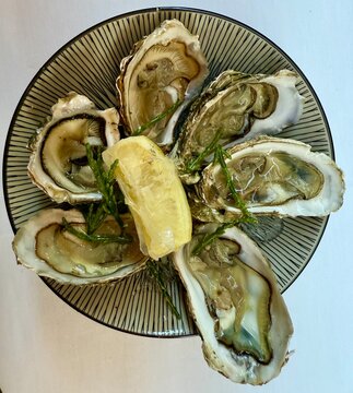 Overhead view of a plate of oysters, one of which is larger than the others, with a lemon wedge and samphire garnish
