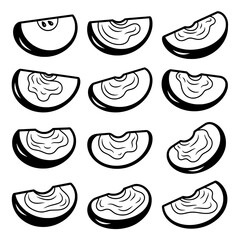 Set of watermelon slices with seeds and rind in different angles