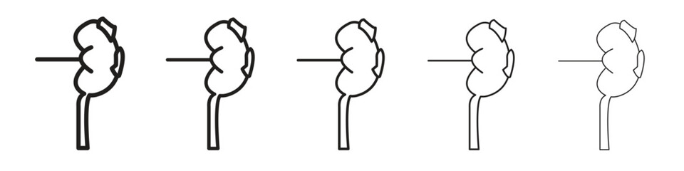 Kidney disease icon line art vector collection on white background