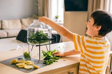 Happy boy making lemonade with mint and lemon slices, preparing summer drink at home kitchen