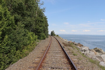 Obraz premium Railway in the woods and travel in summer. Path for train.