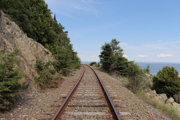 Railway in the woods and travel in summer. Path for train.