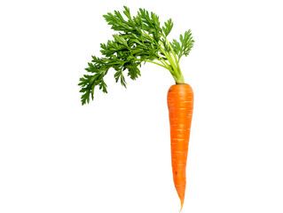 Fresh orange carrot with green leaves isolated on transparent background