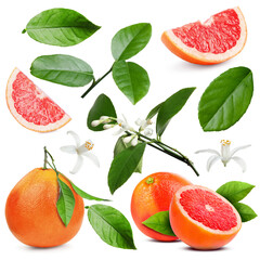 Fresh grapefruits, green leaves and flowers on white background, collage